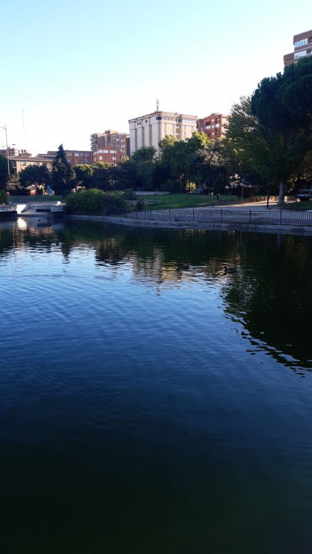 TALAVERA, Rápida actuación municipal para limpiar el lago de La Alameda  por causa del viento